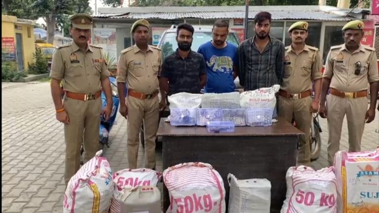 Screenshot_20230526-144115_WhatsApp