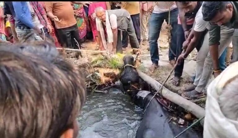 Screenshot_2023-11-08-21-39-21-79