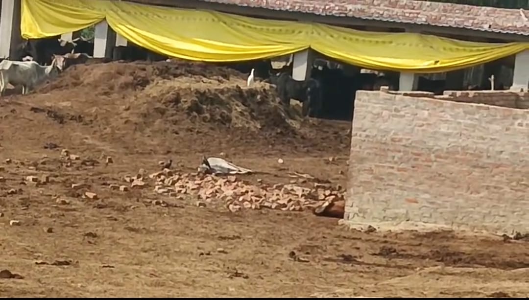 Screenshot_2024-02-03-08-19-50-02_6012fa4d4ddec268fc5c7112cbb265e7