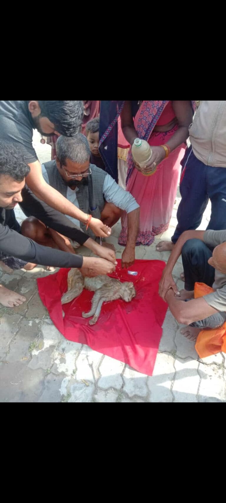 Screenshot_2024-03-24-15-53-26-55_7352322957d4404136654ef4adb64504