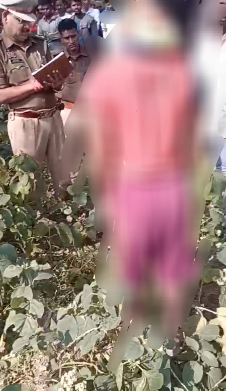 Screenshot_20240316-190531_Video Player