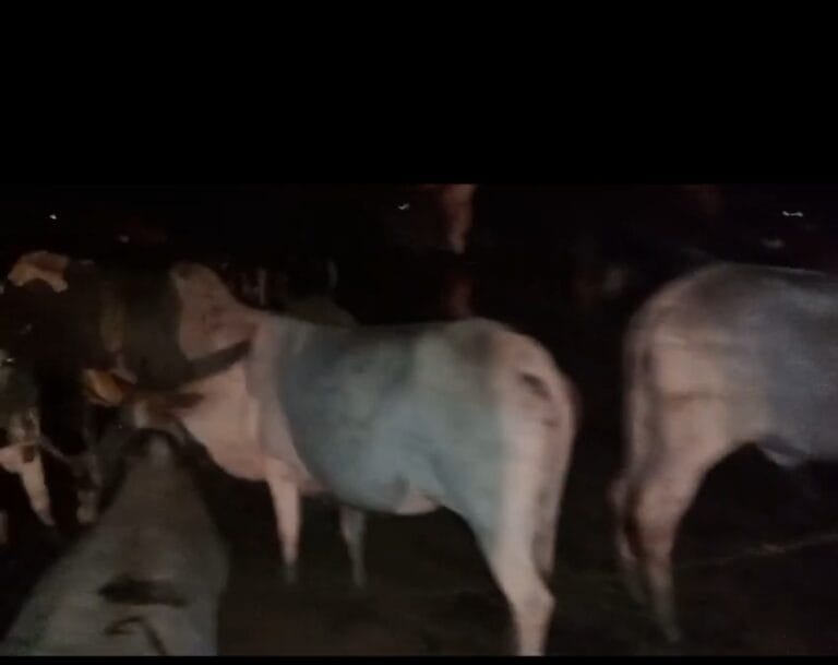 Screenshot_2024-05-25-09-54-21-68_6012fa4d4ddec268fc5c7112cbb265e7