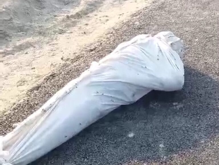 Screenshot_2024-07-16-20-16-05-22_6012fa4d4ddec268fc5c7112cbb265e7