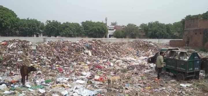 FB_IMG_1731251196587