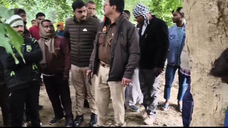 Screenshot_2024_1229_191734