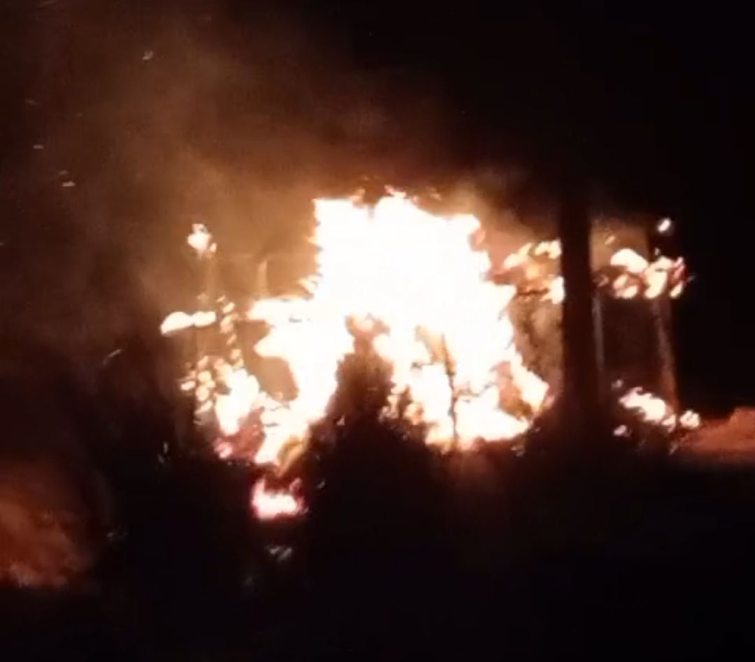 Screenshot_2025-05-18-14-15-44-39_6012fa4d4ddec268fc5c7112cbb265e7