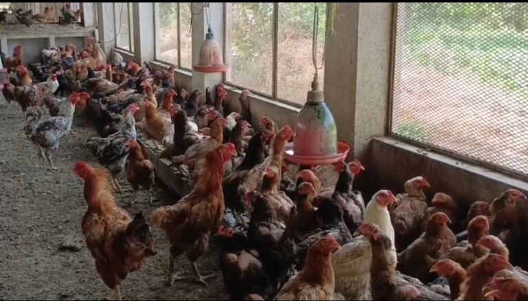 Screenshot_2025-05-19-15-55-35-87_6012fa4d4ddec268fc5c7112cbb265e7