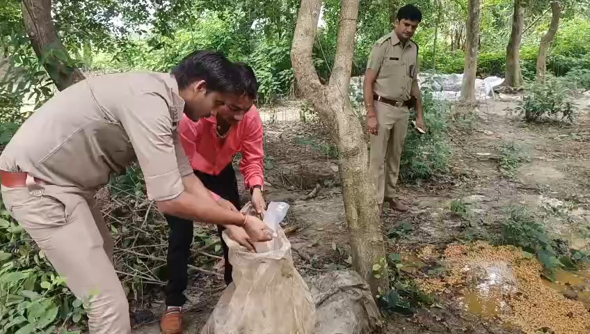 IMG_20250802_13130104