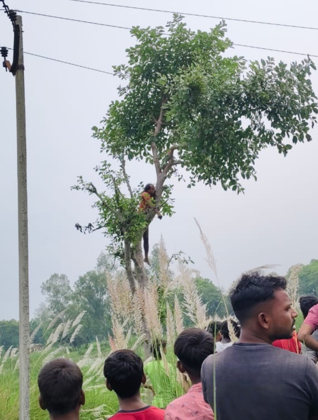 Screenshot_2025-08-31-16-31-03-51_6012fa4d4ddec268fc5c7112cbb265e7