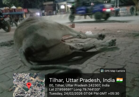 20260224_70431PMByGPSMapCamera