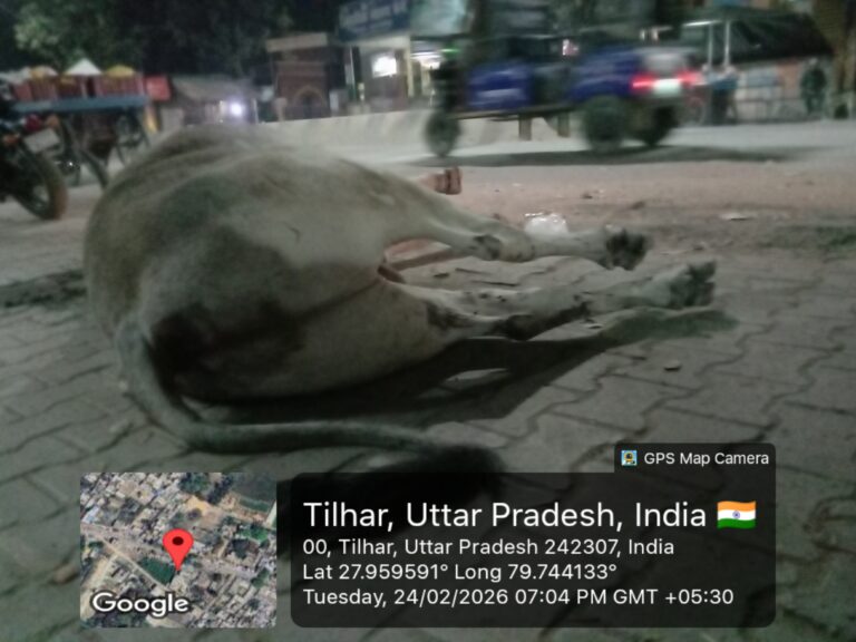 20260224_70431PMByGPSMapCamera