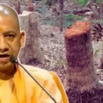 UP-tree-cut-new-law-1772160406500_m