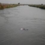 Screenshot_2026-03-29-22-21-39-45_6012fa4d4ddec268fc5c7112cbb265e7