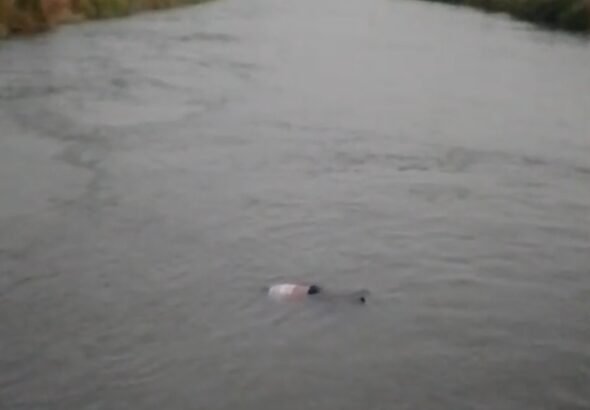 Screenshot_2026-03-29-22-21-39-45_6012fa4d4ddec268fc5c7112cbb265e7