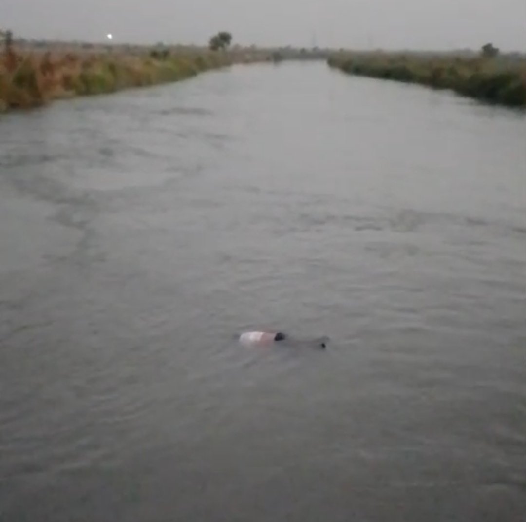 Screenshot_2026-03-29-22-21-39-45_6012fa4d4ddec268fc5c7112cbb265e7