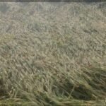 Screenshot_2026-04-07-20-46-44-82_680d03679600f7af0b4c700c6b270fe7