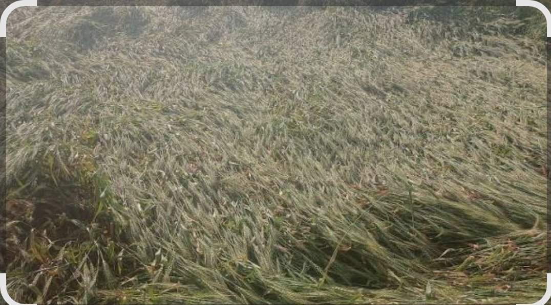 Screenshot_2026-04-07-20-46-44-82_680d03679600f7af0b4c700c6b270fe7