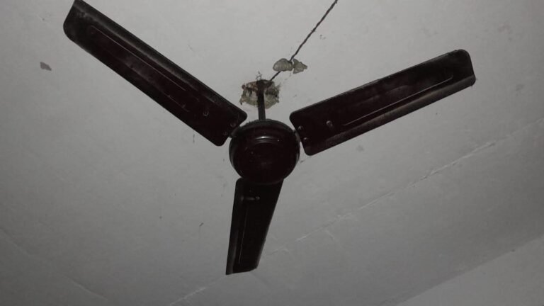 IMG-20260826-WA0006