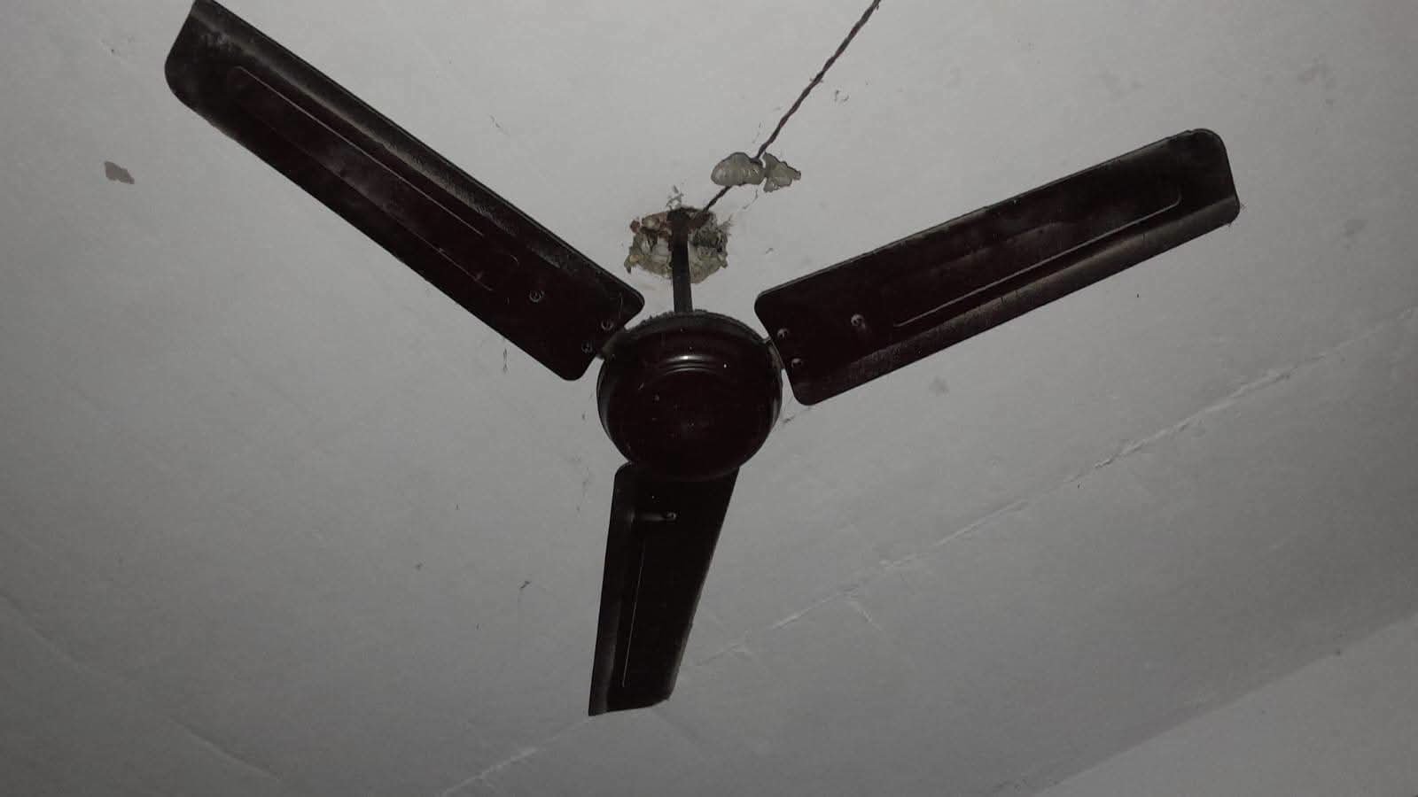 IMG-20260826-WA0006